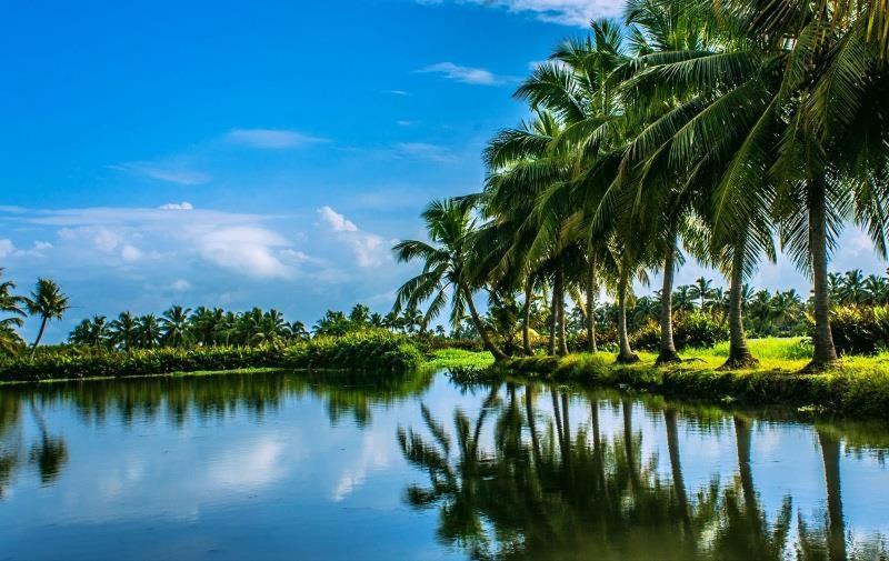 Golden Beach Home Stay Alappuzha المظهر الخارجي الصورة