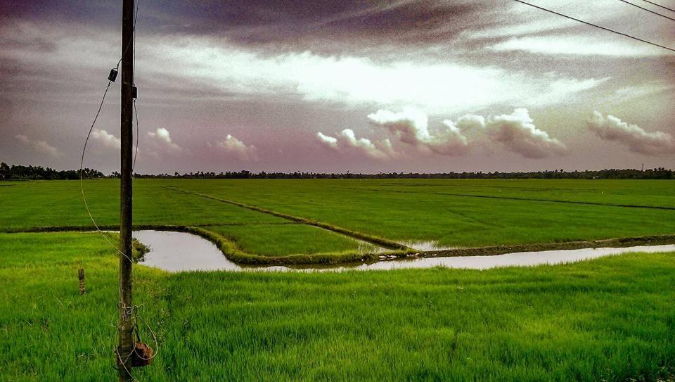 Golden Beach Home Stay Alappuzha المظهر الخارجي الصورة